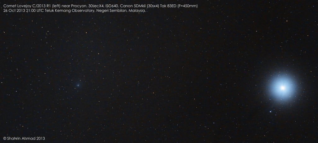 C2013R1Lovejoy