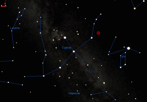 cygnus