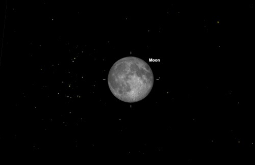 moonbeehive.gif