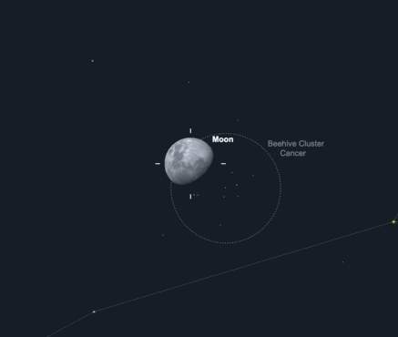 beehivemoon10mac2019.gif