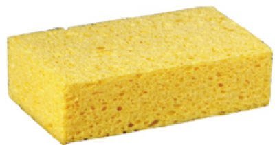 span.jpg
